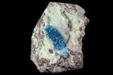 Vibrant Blue Cavansite Cluster on Stilbite - India #67807-2